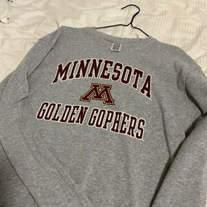 Pro Edge Classic Gray Sweatshirt